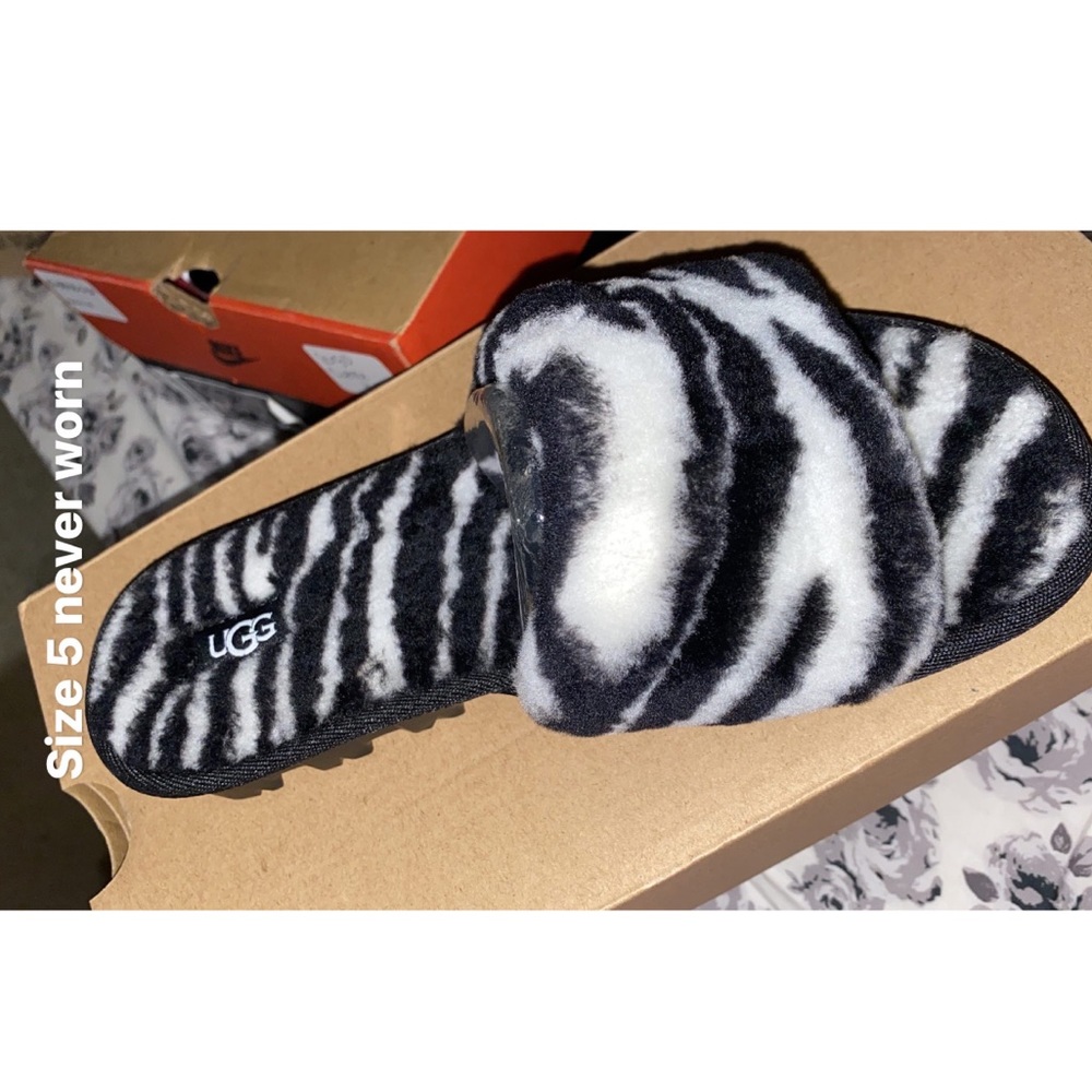 Cozette Zebra